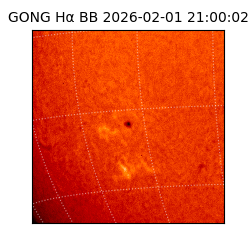 gong - 2026-02-01T21:00:02