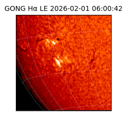 gong - 2026-02-01T06:00:42