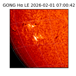 gong - 2026-02-01T07:00:42
