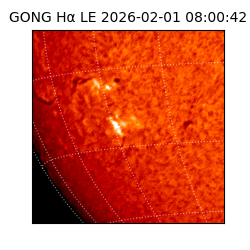 gong - 2026-02-01T08:00:42