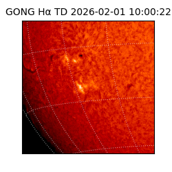 gong - 2026-02-01T10:00:22