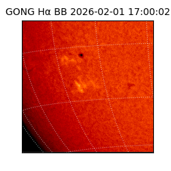 gong - 2026-02-01T17:00:02