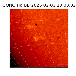 gong - 2026-02-01T19:00:02