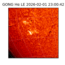 gong - 2026-02-01T23:00:42