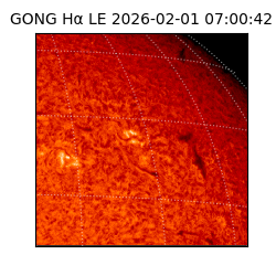 gong - 2026-02-01T07:00:42