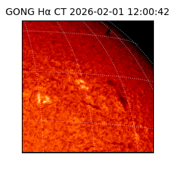 gong - 2026-02-01T12:00:42