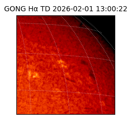 gong - 2026-02-01T13:00:22