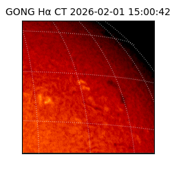gong - 2026-02-01T15:00:42