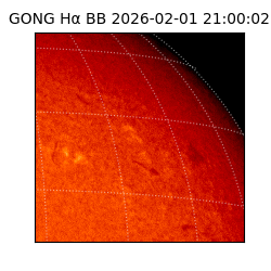 gong - 2026-02-01T21:00:02