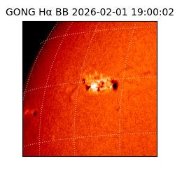 gong - 2026-02-01T19:00:02