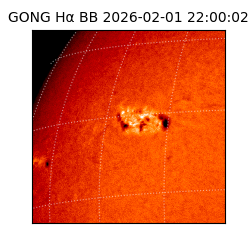 gong - 2026-02-01T22:00:02