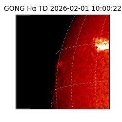 gong - 2026-02-01T10:00:22