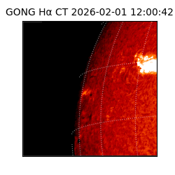 gong - 2026-02-01T12:00:42