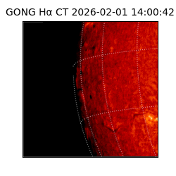 gong - 2026-02-01T14:00:42