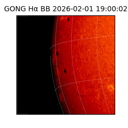 gong - 2026-02-01T19:00:02