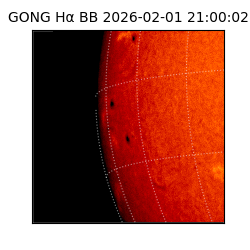 gong - 2026-02-01T21:00:02