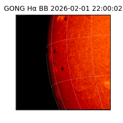gong - 2026-02-01T22:00:02