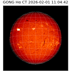 gong - 2026-02-01T11:04:42