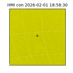 shmi - 2026-02-01T18:58:30.600000