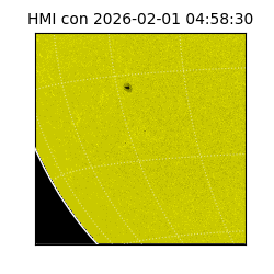 shmi - 2026-02-01T04:58:30.800000