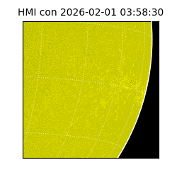 shmi - 2026-02-01T03:58:30.800000