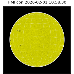 shmi - 2026-02-01T10:58:30.800000