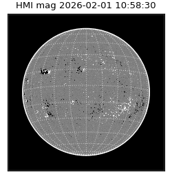 shmi - 2026-02-01T10:58:30.800000