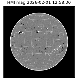 shmi - 2026-02-01T12:58:30.700000