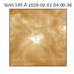 suvi - 2026-02-01T04:00:36.881000