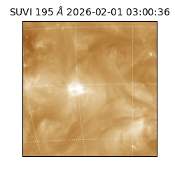 suvi - 2026-02-01T03:00:36.699000
