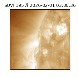 suvi - 2026-02-01T03:00:36.699000