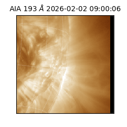 saia - 2026-02-02T09:00:06.421000