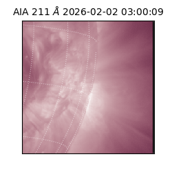 saia - 2026-02-02T03:00:09.623000