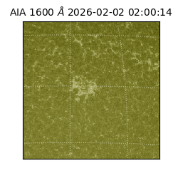saia - 2026-02-02T02:00:14.126000