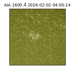 saia - 2026-02-02T04:00:14.129000