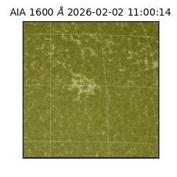 saia - 2026-02-02T11:00:14.126000