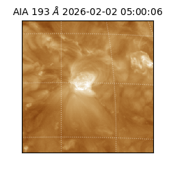 saia - 2026-02-02T05:00:06.110000