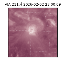 saia - 2026-02-02T23:00:09.631000