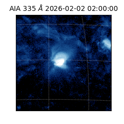 saia - 2026-02-02T02:00:00.625000