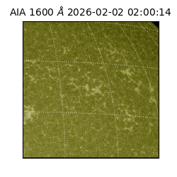 saia - 2026-02-02T02:00:14.126000