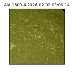 saia - 2026-02-02T03:00:14.125000