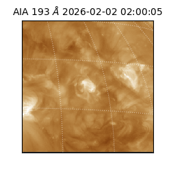 saia - 2026-02-02T02:00:05.337000