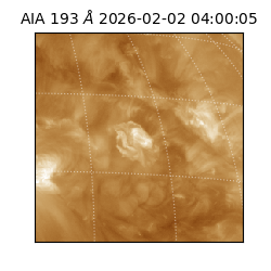 saia - 2026-02-02T04:00:05.627000