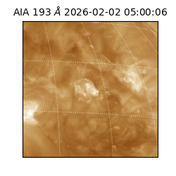 saia - 2026-02-02T05:00:06.110000