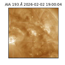 saia - 2026-02-02T19:00:04.843000