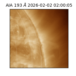 saia - 2026-02-02T02:00:05.337000