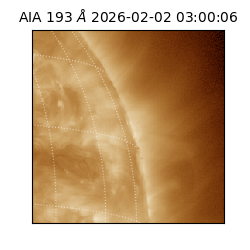 saia - 2026-02-02T03:00:06.711000