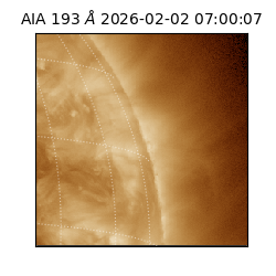 saia - 2026-02-02T07:00:07.032000