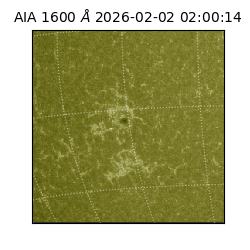 saia - 2026-02-02T02:00:14.126000