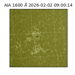 saia - 2026-02-02T09:00:14.129000